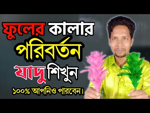 ভিডিও: পুতুল এরিয়েল: ফটো এবং পর্যালোচনা