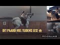 Wild paard moker voor t eerst in de les  vlog 44 rph