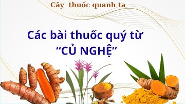 9 BÀI THUỐC QUÝ TỪ CỦ NGHỆ