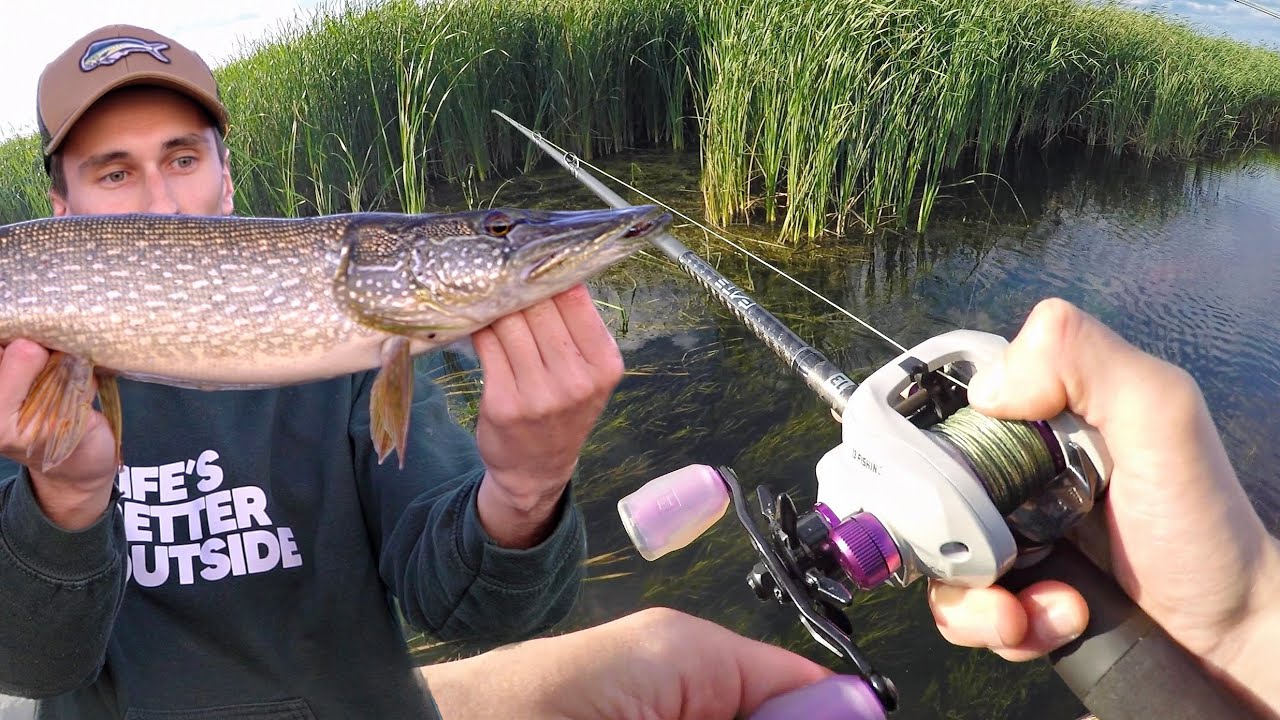 Pêche au Flipping pour le Brochet! (Surprise)