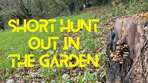 A short hunt - metal detecting in the garden using the Quest Q30 plus - Devon england