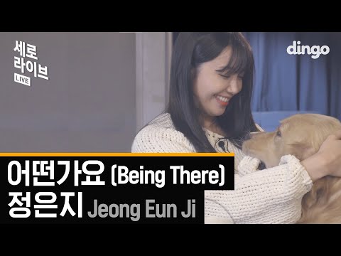 정은지 - 어떤가요 (Jeong Eun Ji - Being There) [세로라이브 / 4K] 댕댕이와 함께한 LIVE