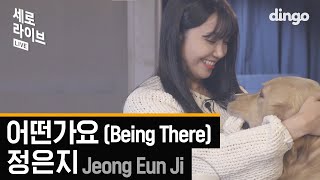 정은지 - 어떤가요 (Jeong Eun Ji - Being There) [세로라이브 / 4K] 댕댕이와 함께한 LIVE