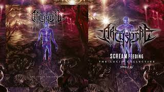 Download Lagu Archspire - The Lucid Collective (Official Album Stream) MP3 Download Lagu Archspire - The Lucid Collective (Official Album Stream) MP3