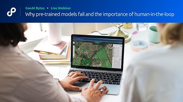 Why pre-trained models fail and the importance of human-in-the-loop