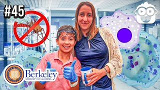 Berkeley Scientist Dr. Filipa Rijo-Ferreira on Malaria and Circadian Rhythms