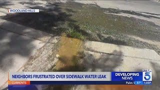 Residents frustrated over nonstop sidewalk leak in San Fernando Valley