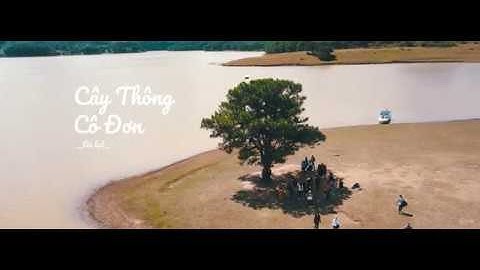 Cây Thông Cô Đơn | Đà Lạt | Có Chàng Trai Viết Lên Cấy | Flycam 4k