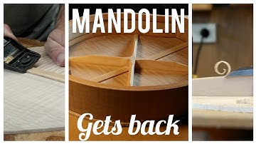 Full journey: Mandolin back build
