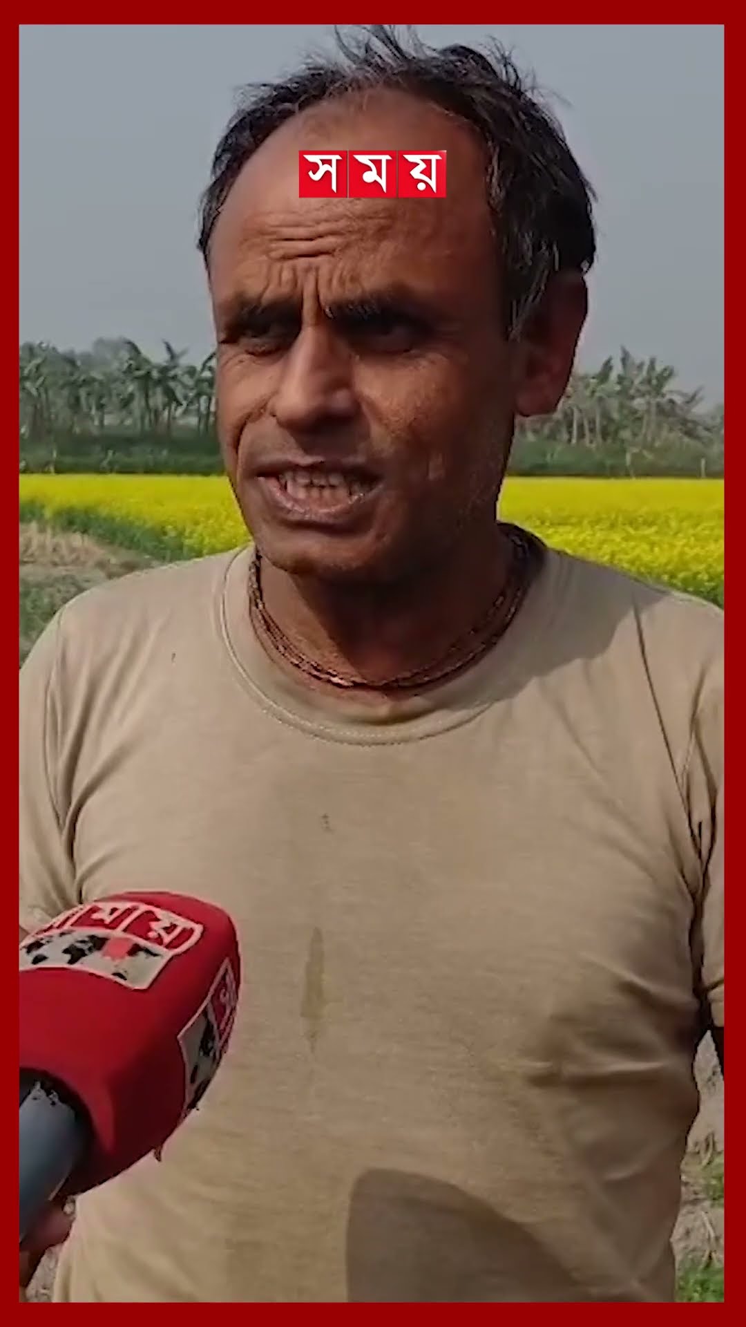 শীতের দাপটে কাঁপছে সারাদেশ #winter #coldweather #disease #minimumtemperature #panchagarh #somoytv