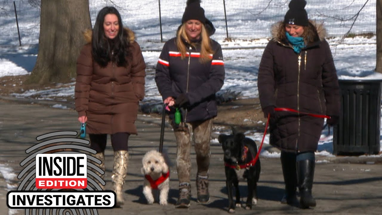 Dogs Are Getting Electrocuted On New York City Sidewalks