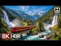 Experience Nature's Beauty in 8K HDR | Cinematic Relaxation for OLED TV