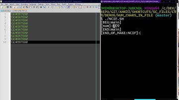 C99 #14[ fgetc : get number of characters in file ]
