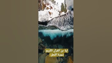 القارئ هزاع البلوشي آية من سورة النحل