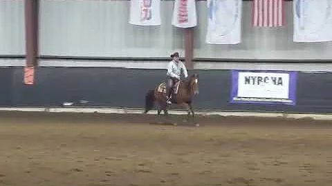 Derek Partridge of Diamond D Performance Horses on...