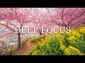 Deep Focus Music For Studying 12 Hours Of Ambient Study Music To Concentrate Improve Memory 64 Deep Focus Music For Studying 12 Hours Of Ambient Study Music To Concentrate Improve Memory 64