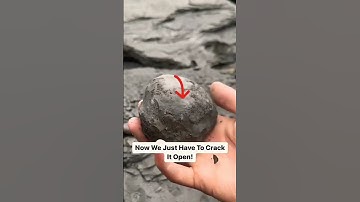 X-marks the fossil 😳