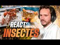 A me rpugnemais cest intressant  react insectes