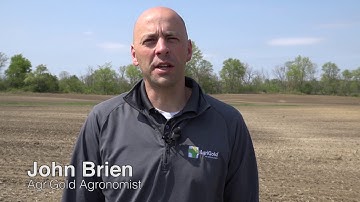 Time for replant? What to look for when scouting corn emergence