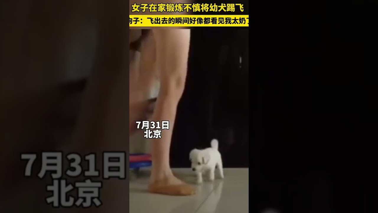 Woman Accidentally Kicked The Puppy Into Air