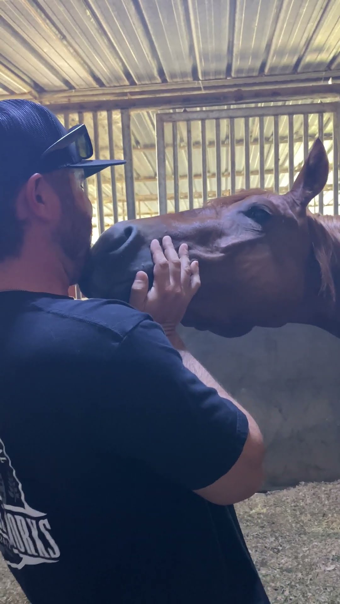 Gentle Horse Playfully Nuzzles Man's Beard