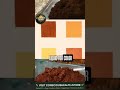 Natural paints
