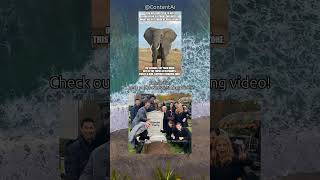 Meme Video Funniest Moments Ever #viralcontent #humor #amusement