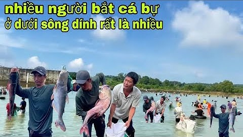 Nhiều con cá bự ở dưới sông người dân bắt được rất là nhiều. Một con mượn máy ký 