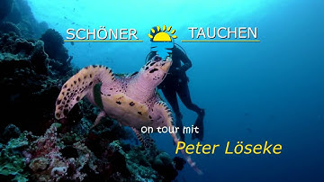 „best of Sulawesi“ Lembeh Strait und Bunaken - Tauchen in Manado Indonesien