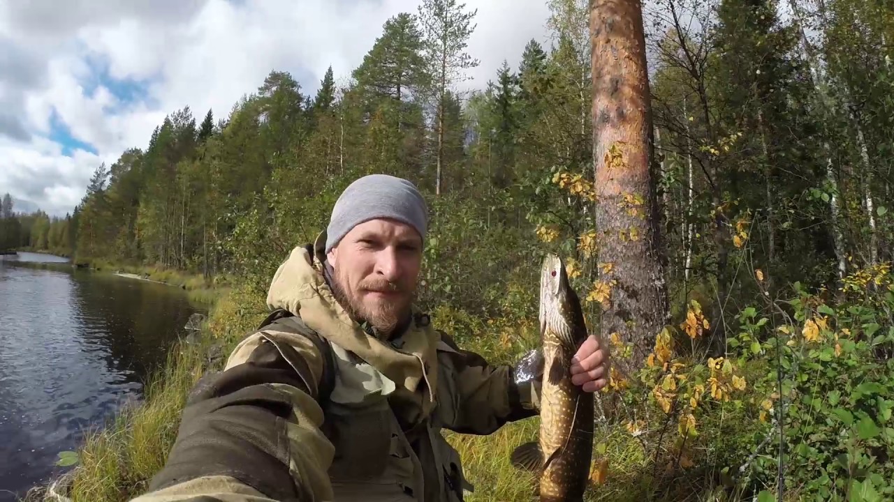 Рыбалка в тайге на озера. Рыбалка в Карелии. Щука в Карелии. Рыбалка в тайге на озёрах. Щука в тайге и на реке.