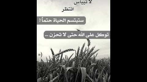 القارئ الشاب معاذ عبود.wmv