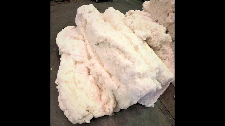Lint cotton.