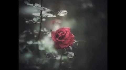 ماتيسر من سورة الأنبياء للقارئ صالح الأنصاري