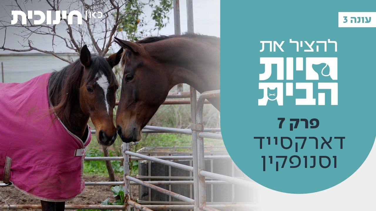 להציל את חיות הבית 3 🐶 | פרק 7 - דארקסייד וסנופקין