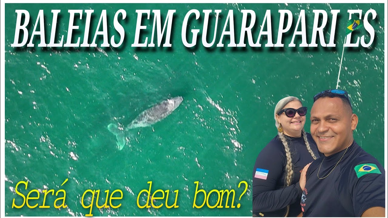 Baleias Jubarte em Guarapari ES