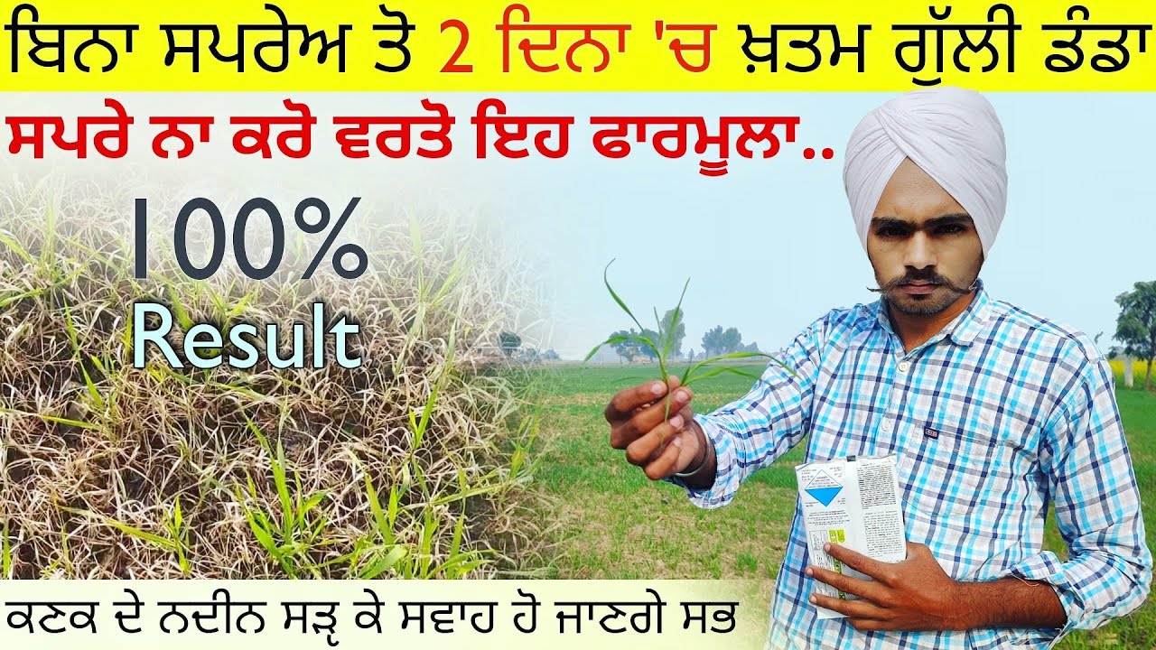 ਪੈਸੇ ਵੀ ਘੱਟ ਤੇ ਨਦੀਨ ਵੀ ਖ਼ਤਮ, Gehu me kharpatwar nashak dawa, herbicide for wheat crop