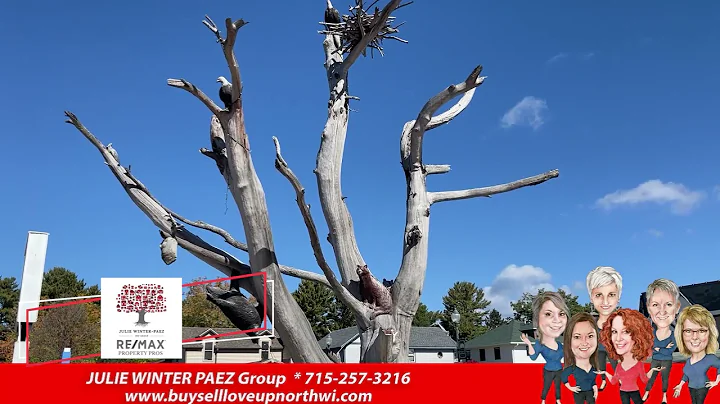 Julie Winter Paez In Three Lakes, Wisconsin