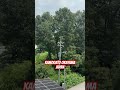 Countryside Japan #japan #reels #viral #viralvideo #shorts #japan #kamogato #fyp #beautiful