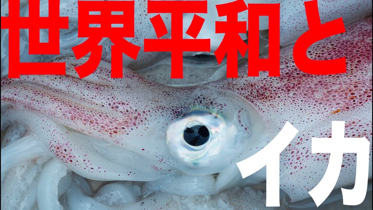 イカの哲学】6分でざっくり解説要約【中沢新一・波多野一郎】 - YouTube