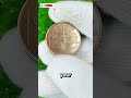 The $99 Million Treasure? 1999 Pennsylvania State Quarter Error Search! | Coin Pixel