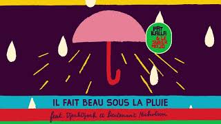 Video thumbnail of "Pat Kalla & Le Super Mojo - Il fait beau sous la pluie (Official Audio)"