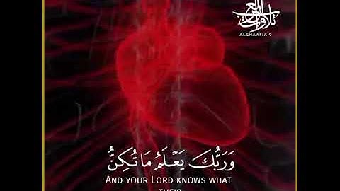 ﴿وَرَبُّكَ يَخلُقُ ما يَشاءُ وَيَختارُ ما كانَ لَهُمُ الخِيَرَةُ سُبحانَ اللَّهَِ﴾👑🌸 [سورة القصص]👑🌸