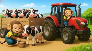 Monkey Farmer Transports Cows and Milking Process - Farm Work | Monkey Farm