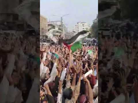 کر دیا TLP کو کالعدم ؟؟؟؟