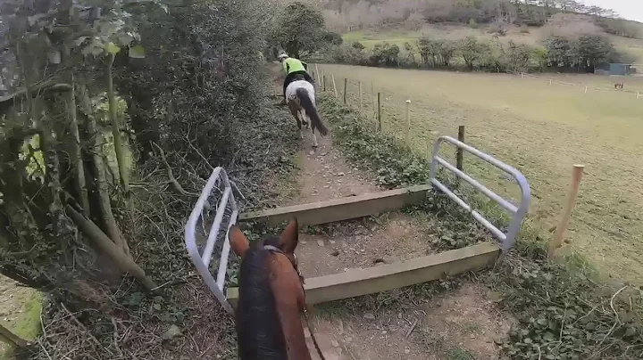 Ride with Becky Farr and Zeus