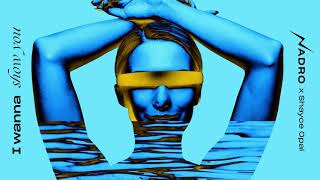 Nadro & Shayce Opal - I Wanna Show You