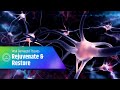 Rejuvenate &amp; Restore: 285 Hz Solfeggio Frequency | Heal Damaged Tissues with Binaural Beats