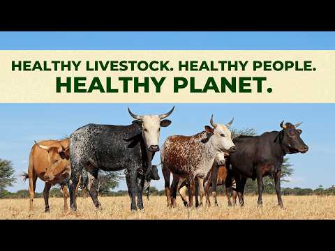 Webinar: One Health in Practice | Livestock Pathways for People & Environmental Health