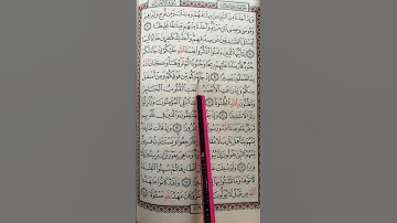 تعليم سورة الأحزاب من 10 إلى 12