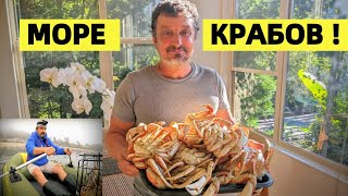 видео: КРАБАЛКА НА УРА!!! ЛИМИТ КРАБА ЗА ПОЛ ЧАСА. КРАБ ПО КОРЕЙСКОМУ РЕЦЕПТУ. ТИХИЙ ОКЕАН США. CRAB ATTACK картинка: КРАБАЛКА НА УРА!!! ЛИМИТ КРАБА ЗА ПОЛ ЧАСА. КРАБ ПО КОРЕЙСКОМУ РЕЦЕПТУ. ТИХИЙ ОКЕАН США. CRAB ATTACK